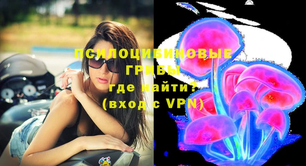 марки nbome Аркадак