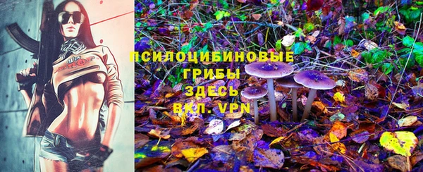 дживик Армянск