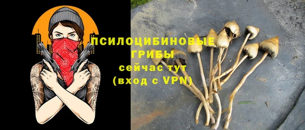 марки nbome Аркадак