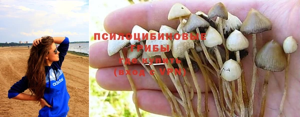 марки nbome Аркадак